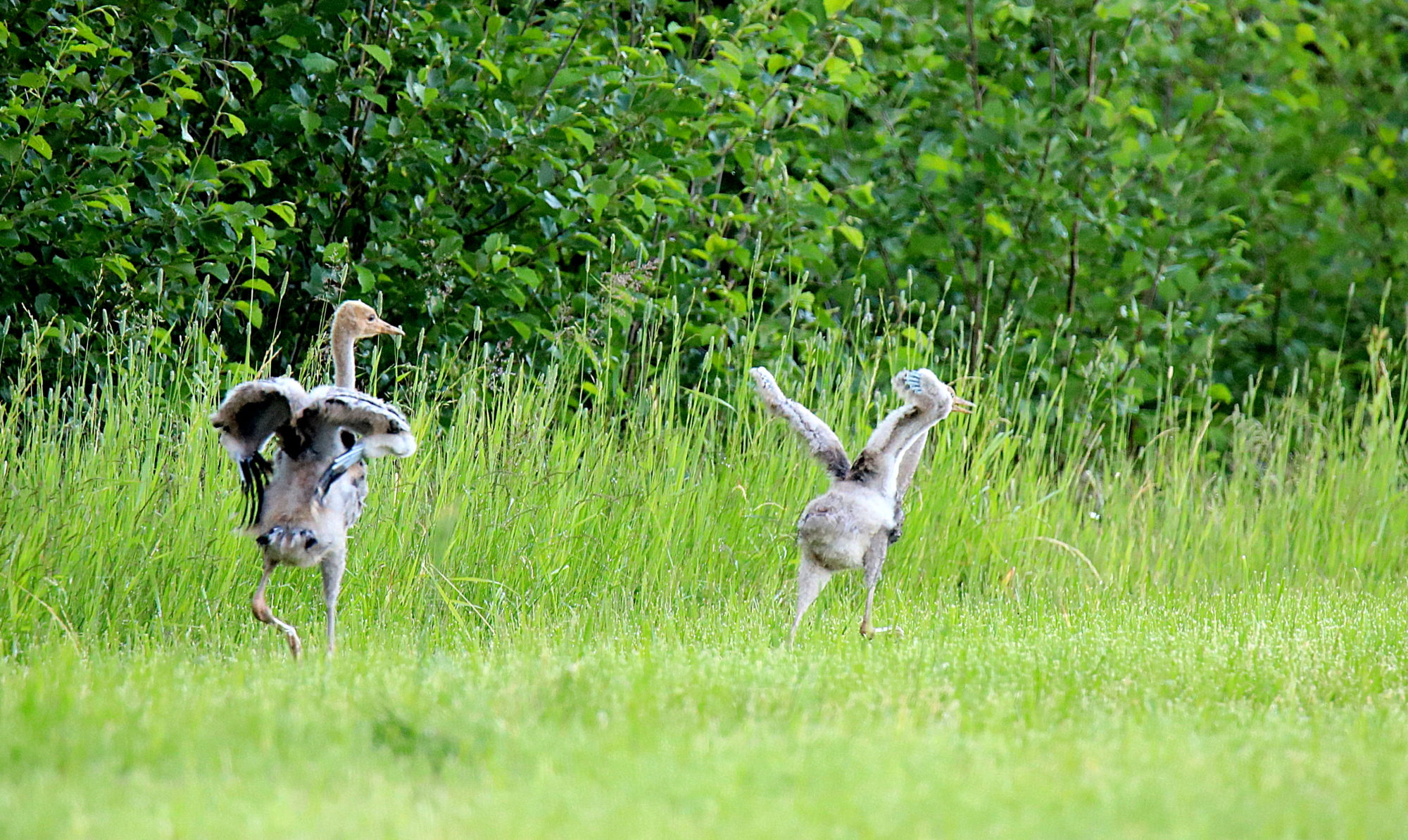 Valokuvaaja: sirpa jyske