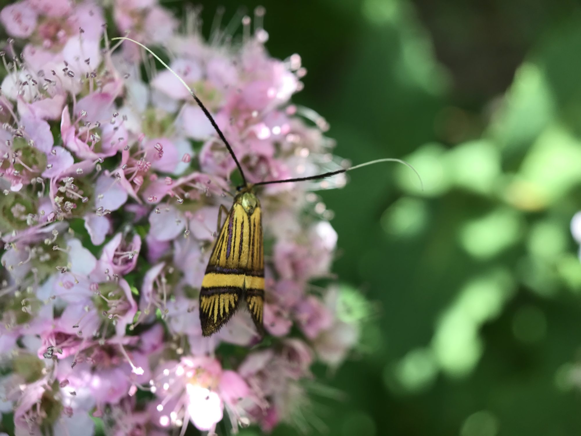 Valokuvaaja: Minna Väisänen