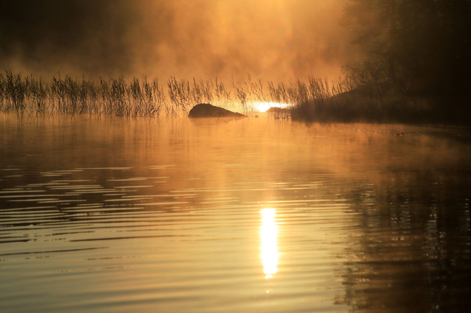 Valokuvaaja: sirpa jyske Valokuvaaja: sirpa jyske