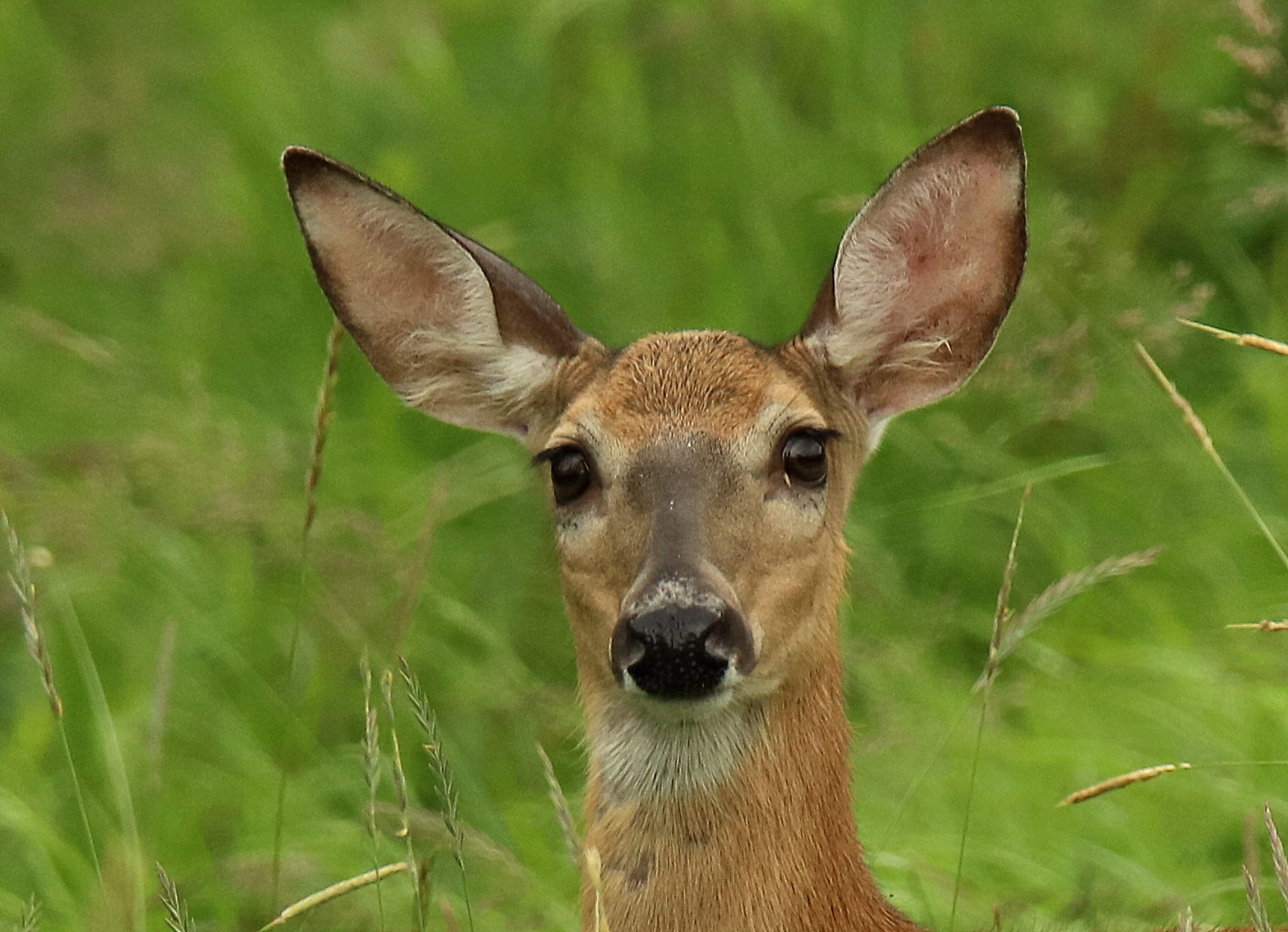Valokuvaaja: sirpa jyske