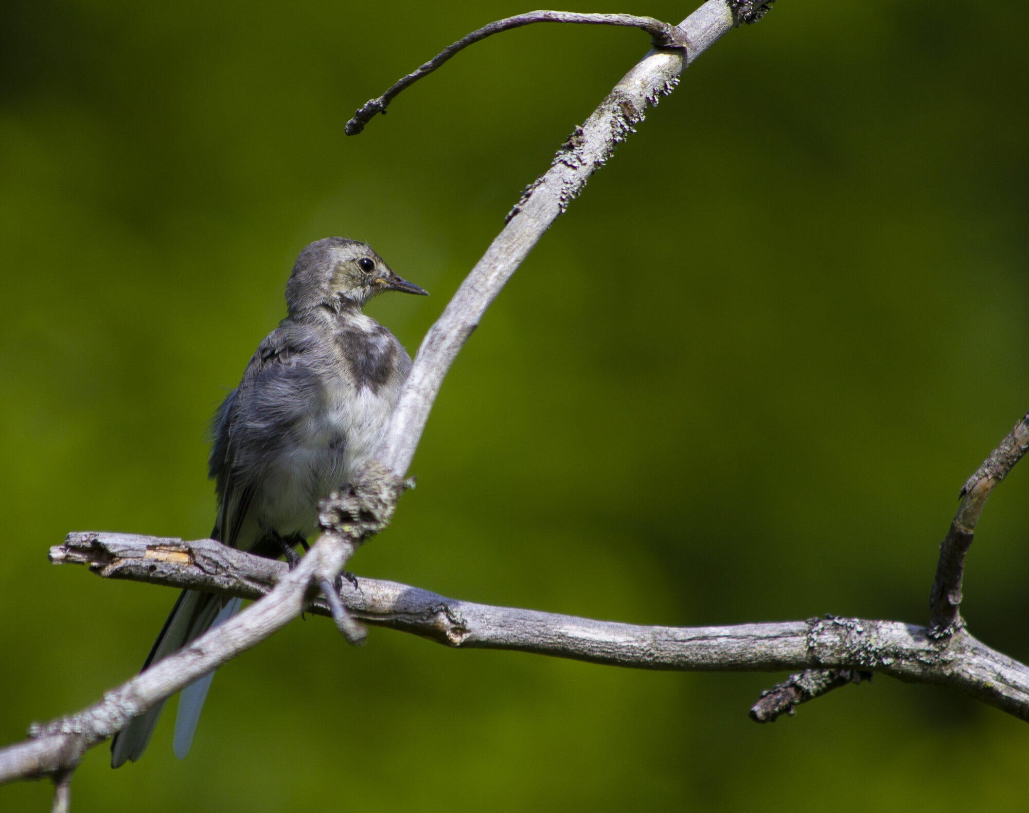 Valokuvaaja: Unto Sorsa