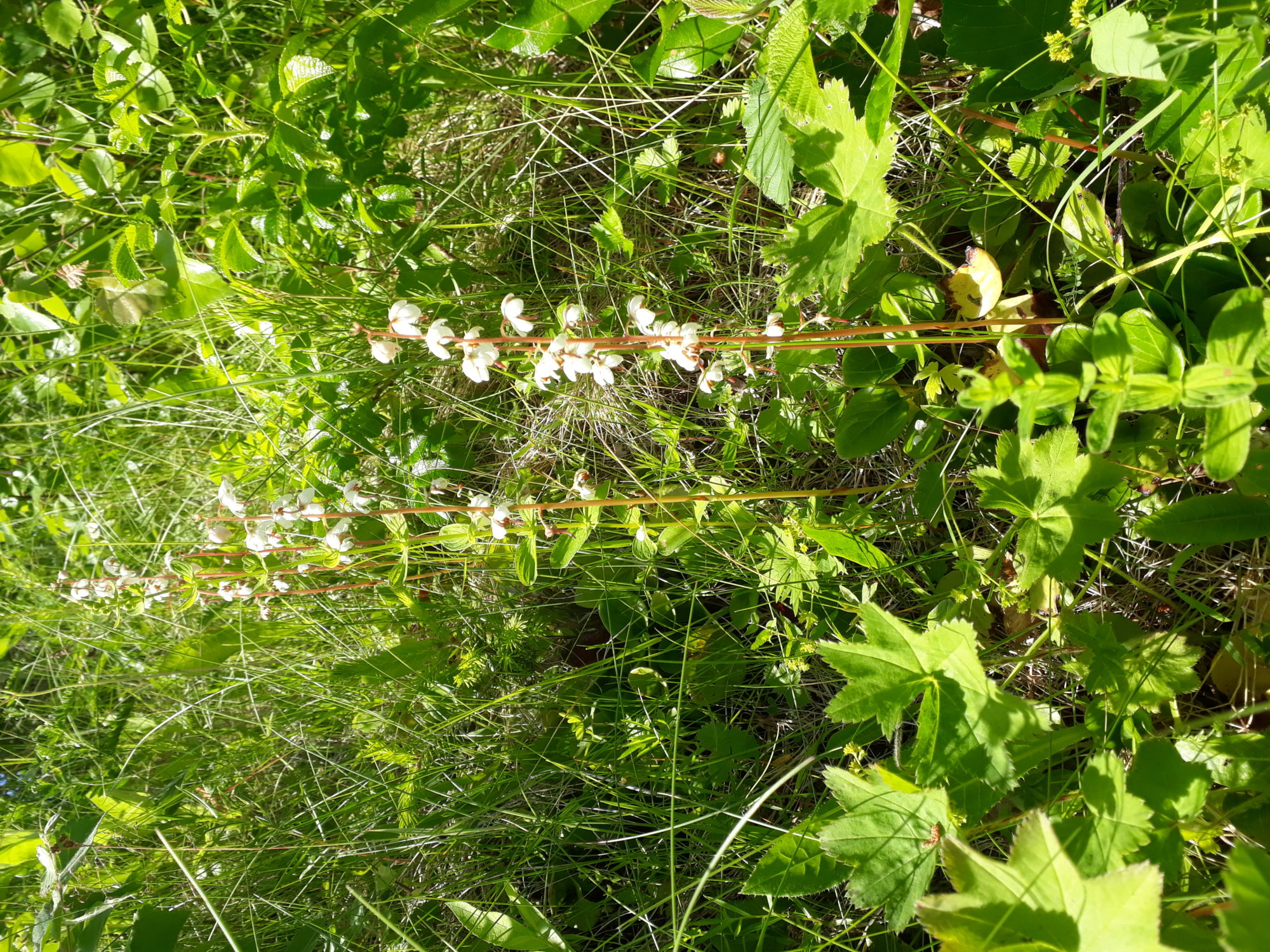 Valokuvaaja: Seija Mäntykivi