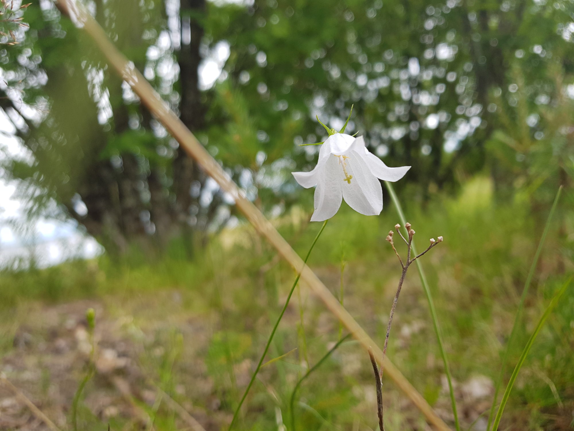 Valokuvaaja: Sanna Kokko
