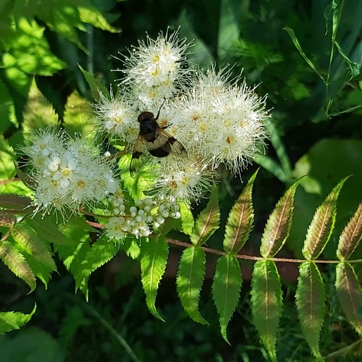 Valokuvaaja: Kaisa Marila