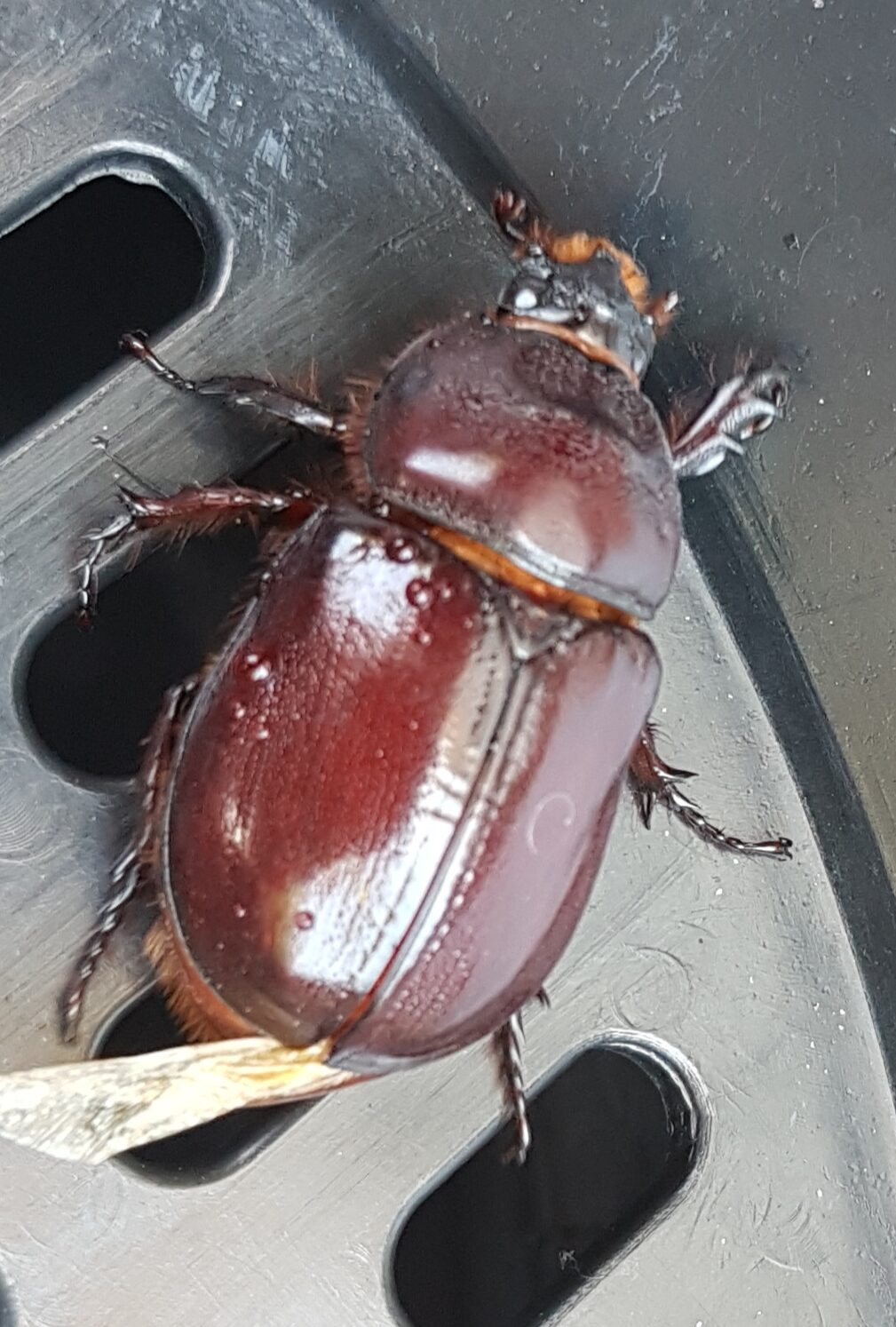 Valokuvaaja: Anne Silver Valokuvaaja: Anne Silver