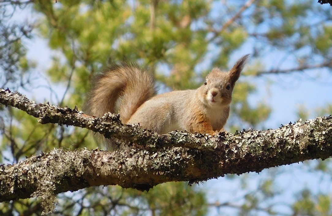 Valokuvaaja: Erkki Risti
