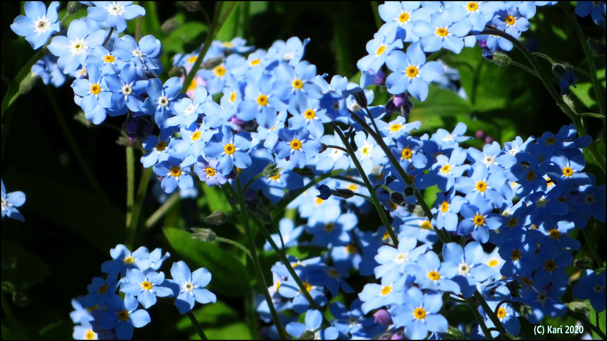 Valokuvaaja: Kari Saarinen Valokuvaaja: Kari Saarinen