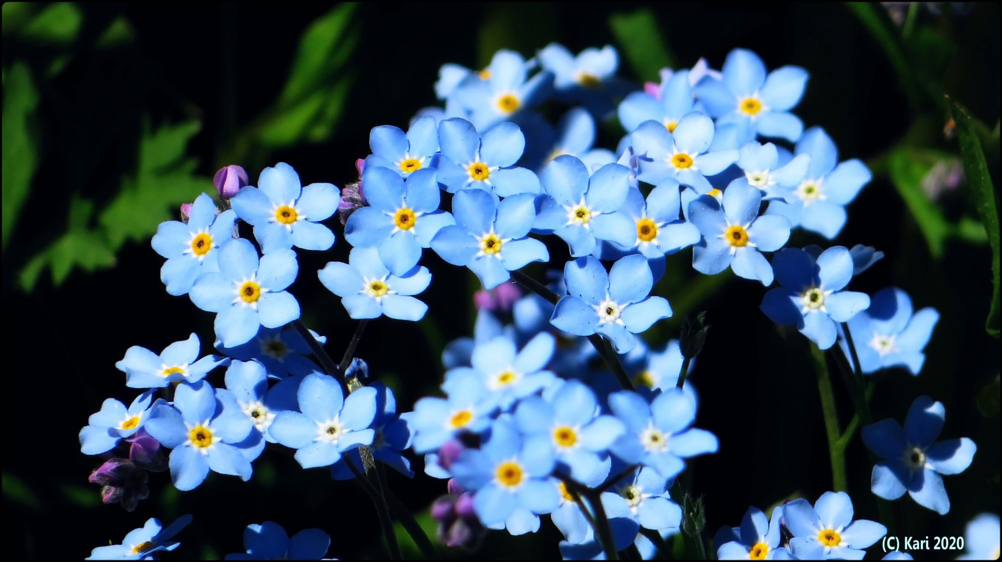 Valokuvaaja: Kari Saarinen