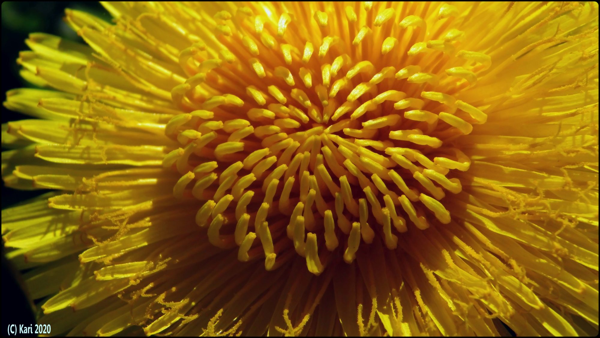 Valokuvaaja: Kari Saarinen