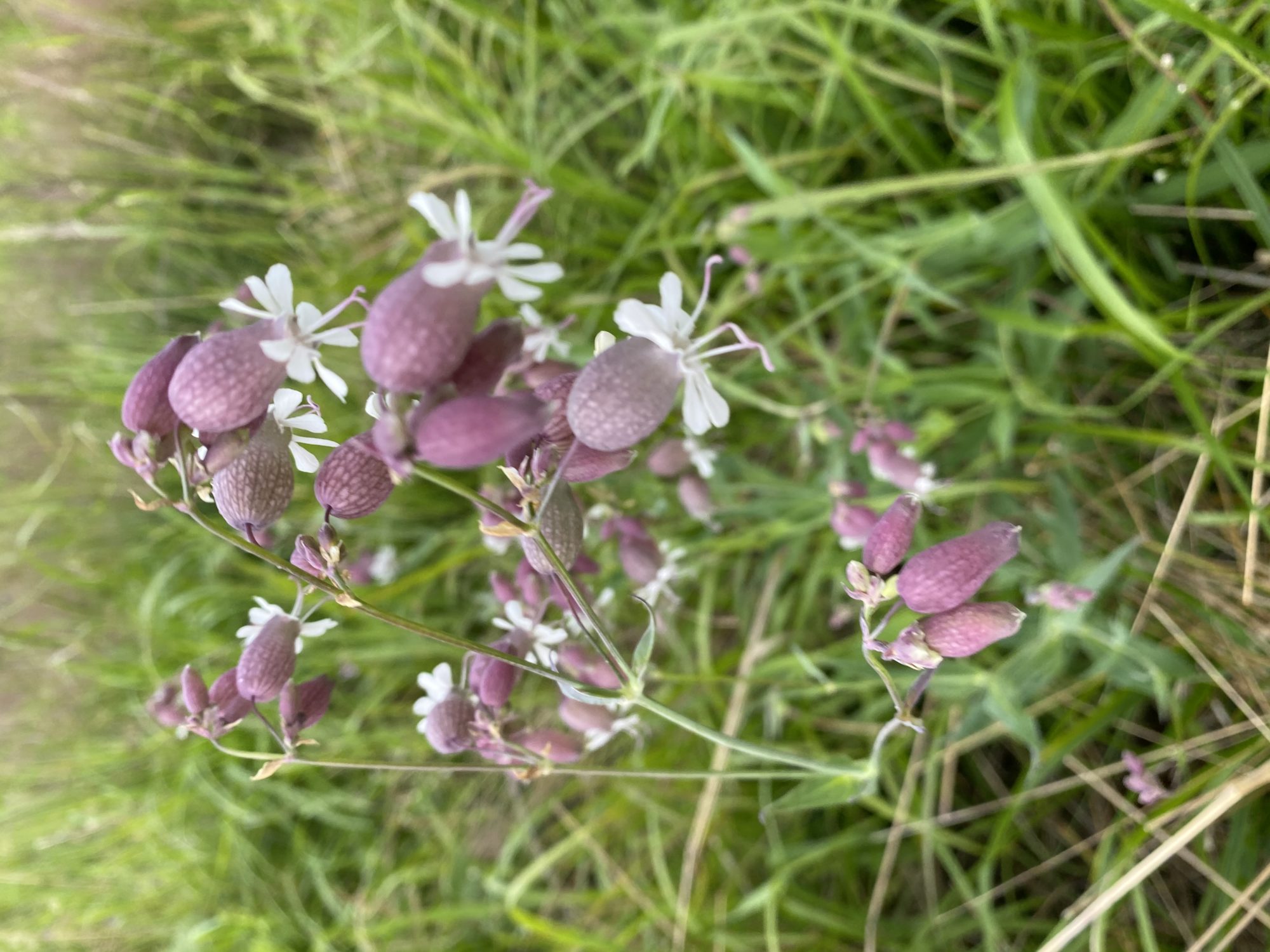 Valokuvaaja: Markku Ranta-Eilola