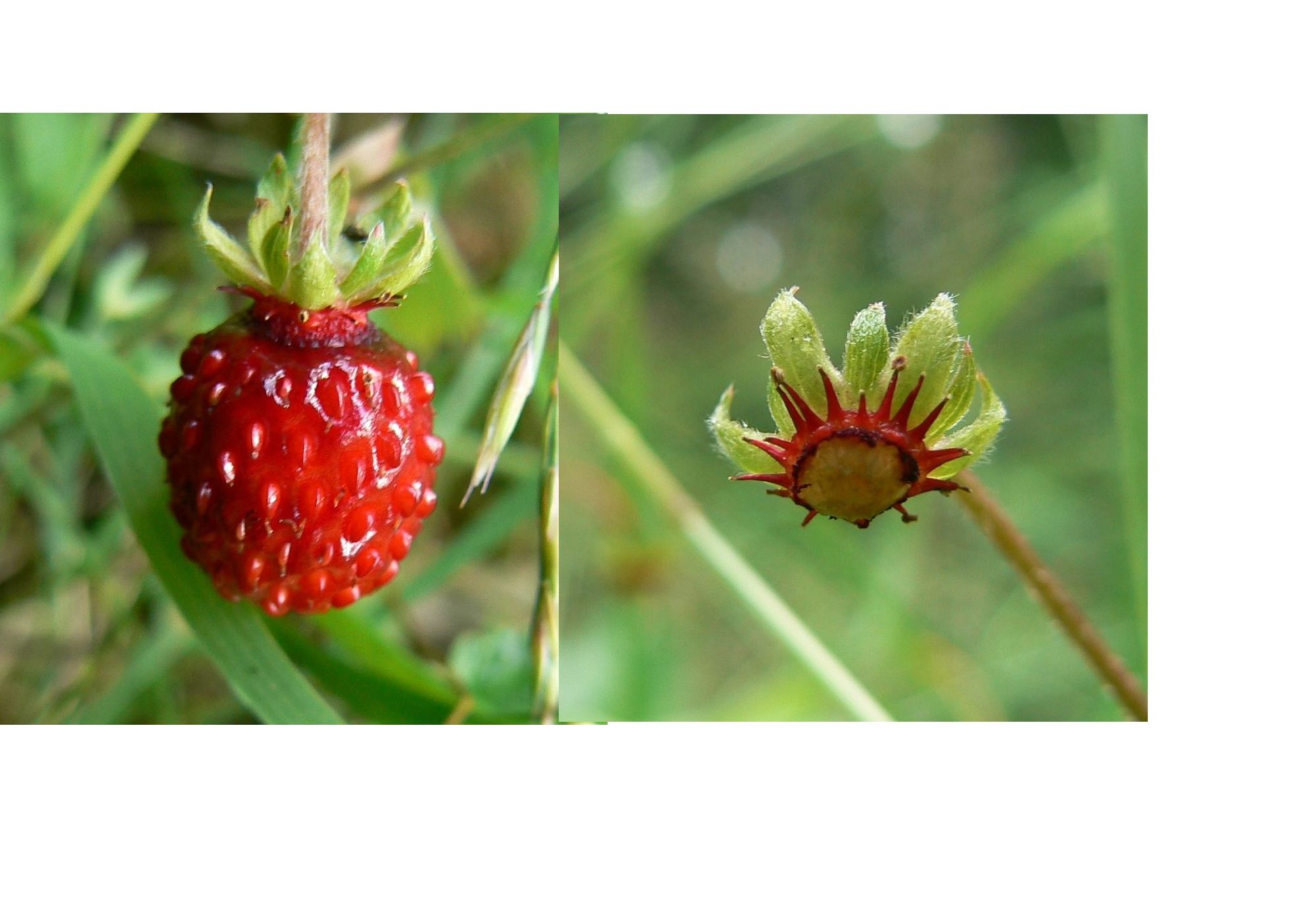 Valokuvaaja: Pekka Heino