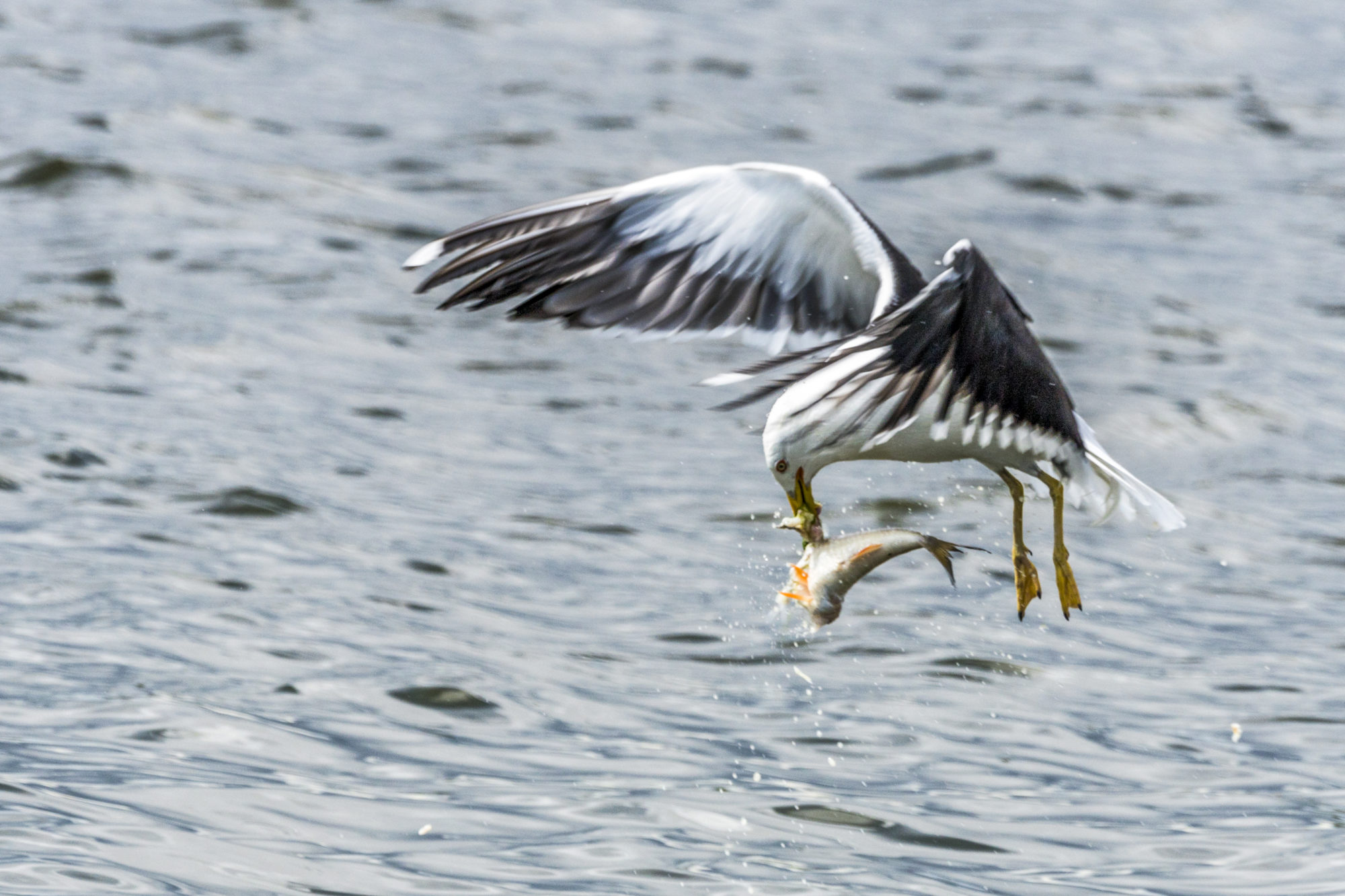 Valokuvaaja: Ivan Wistuba