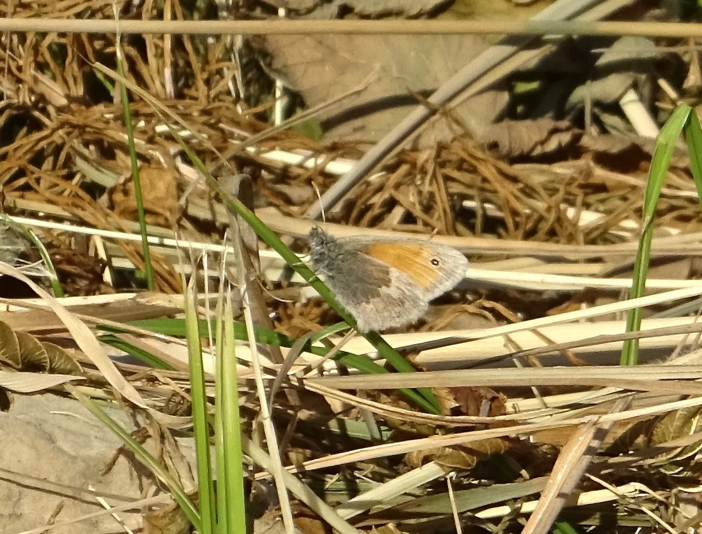 Valokuvaaja: Liisa Niiva-Korpela