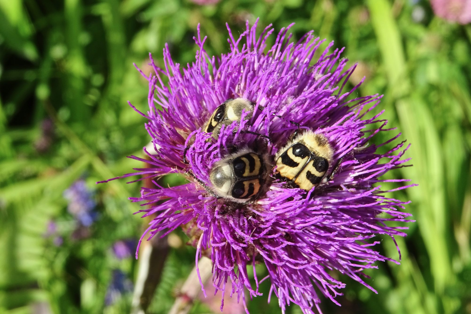 Valokuvaaja: Liisa Niiva-Korpela