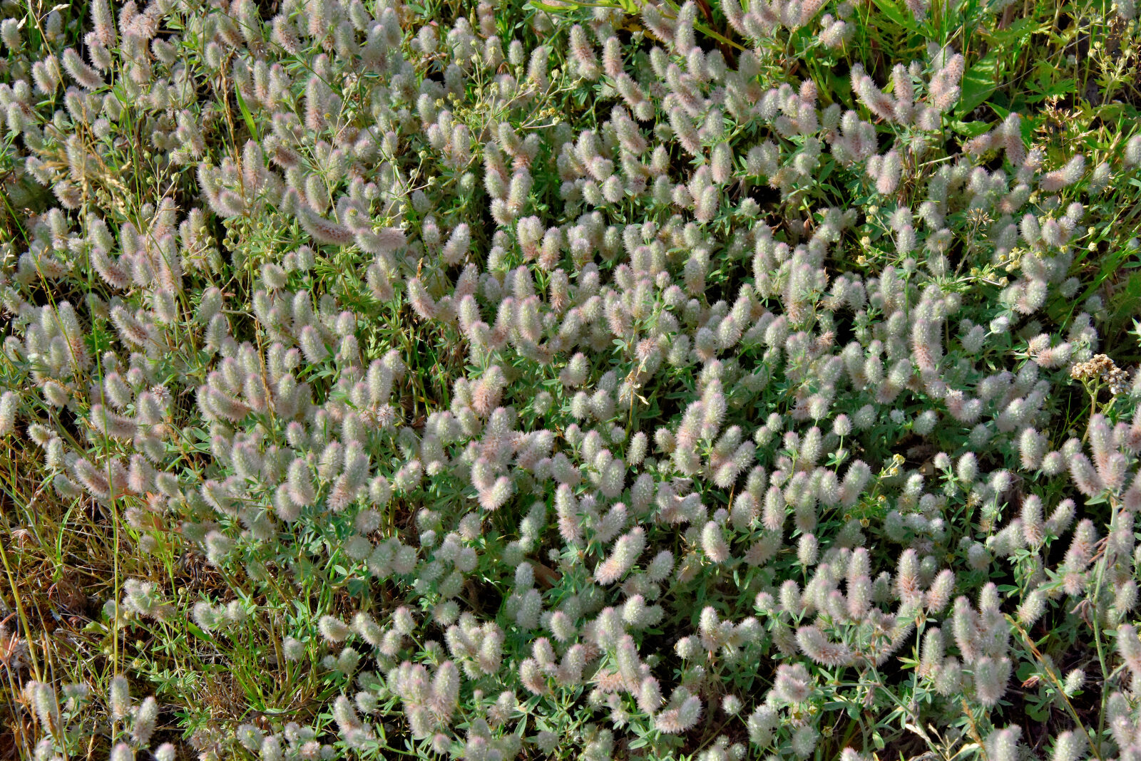 Valokuvaaja: Reijo Juurinen