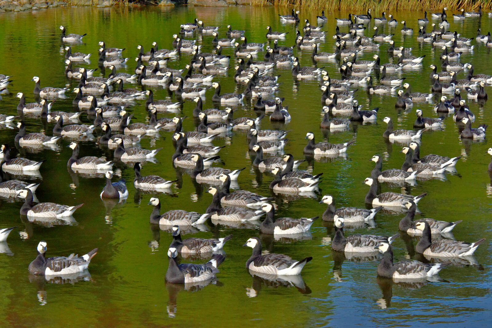 Valokuvaaja: Reijo Juurinen