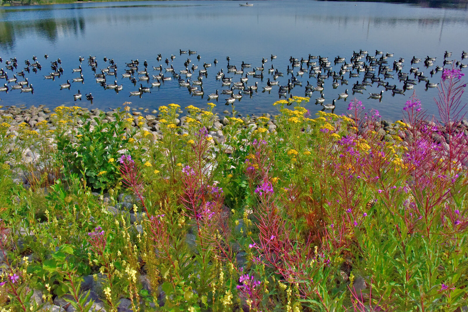 Valokuvaaja: Reijo Juurinen
