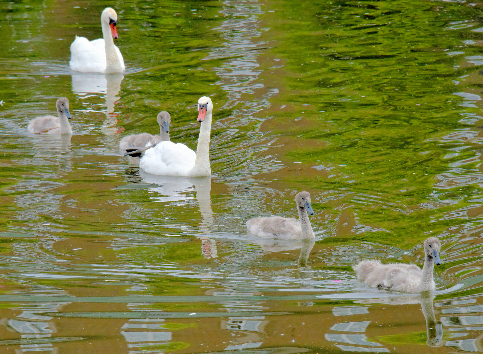 Valokuvaaja: Reijo Juurinen