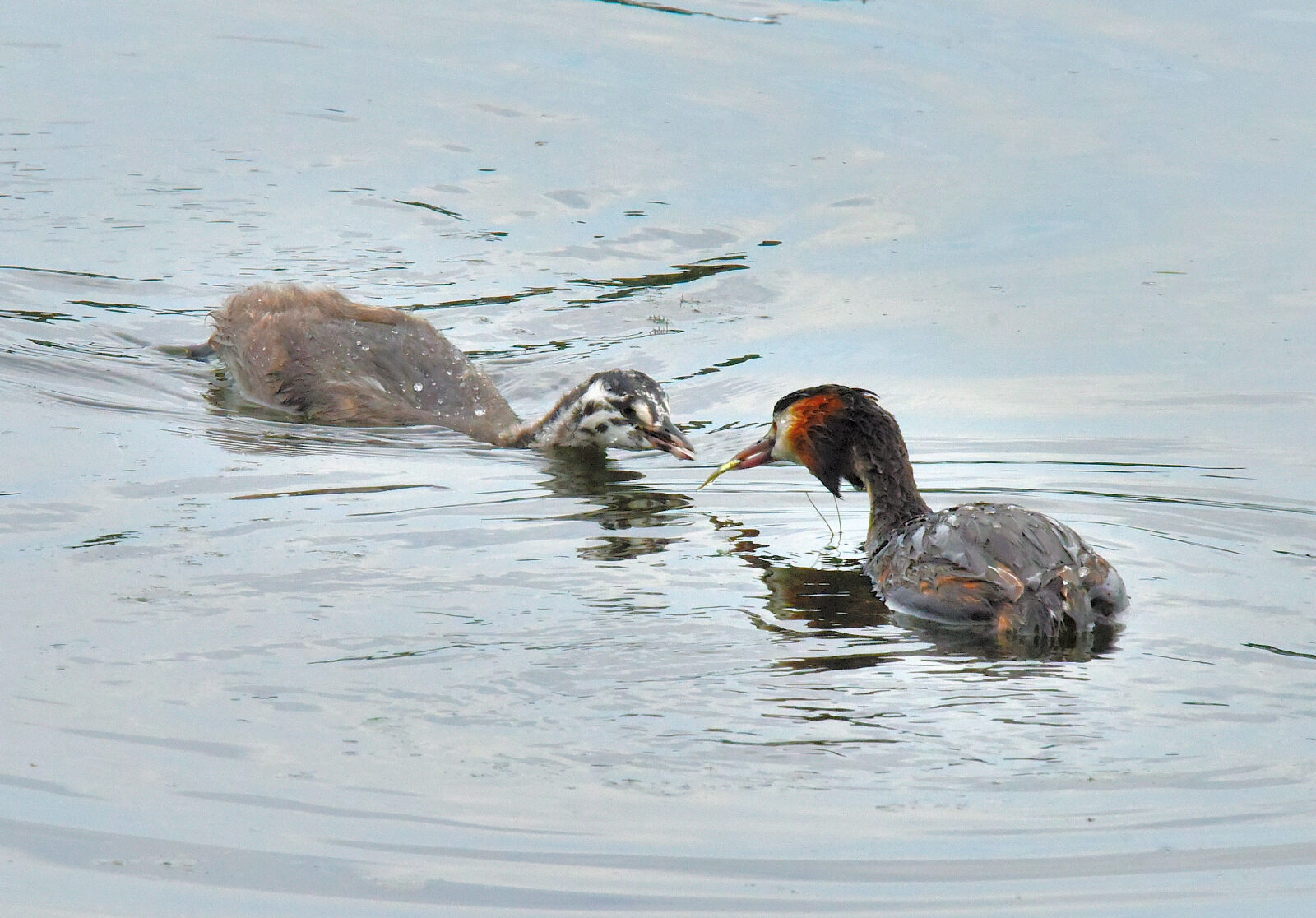 Valokuvaaja: Reijo Juurinen