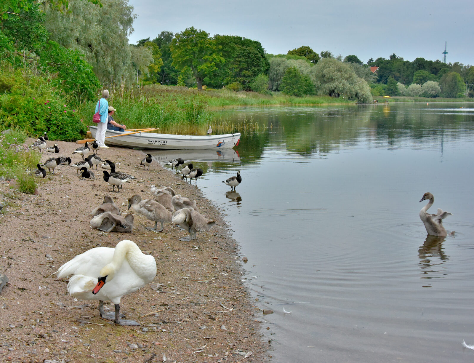 Valokuvaaja: Reijo Juurinen