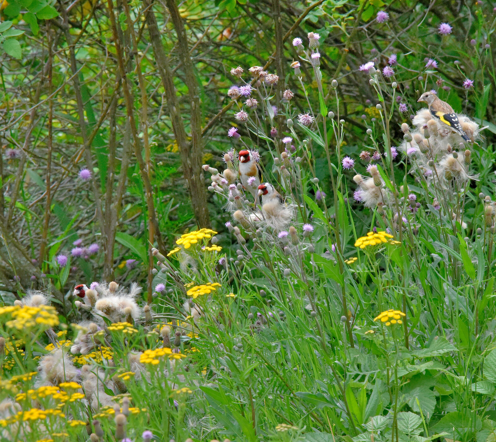 Valokuvaaja: Reijo Juurinen