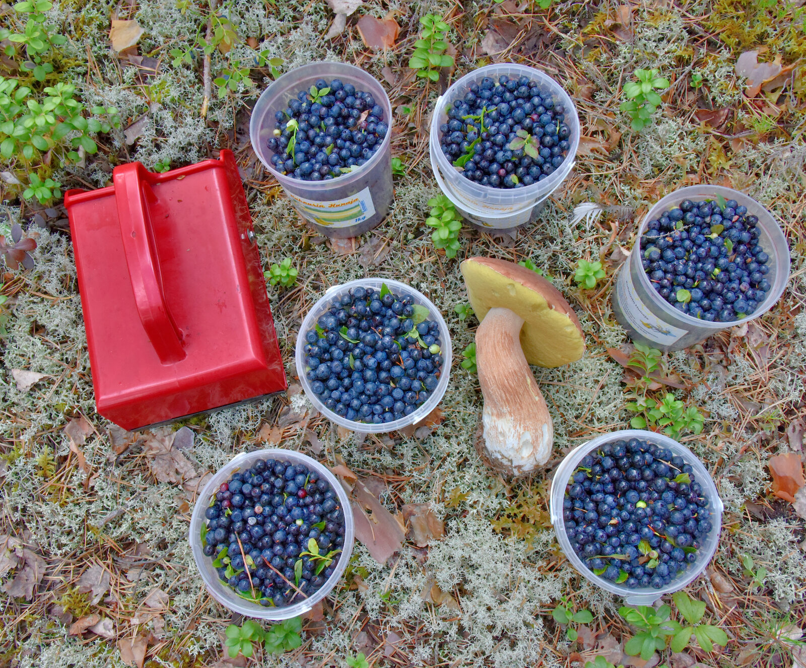 Valokuvaaja: Reijo Juurinen