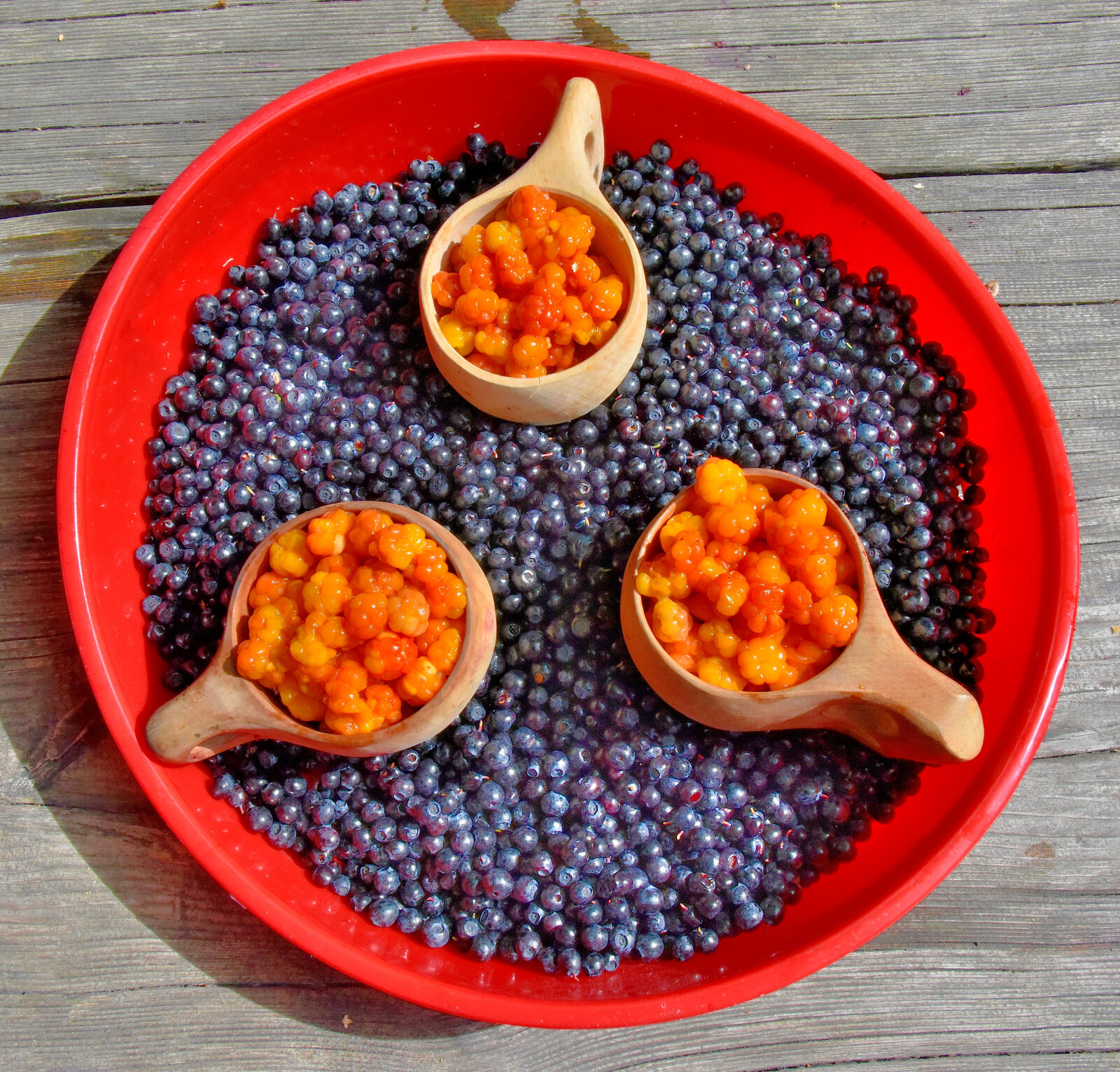 Valokuvaaja: Reijo Juurinen