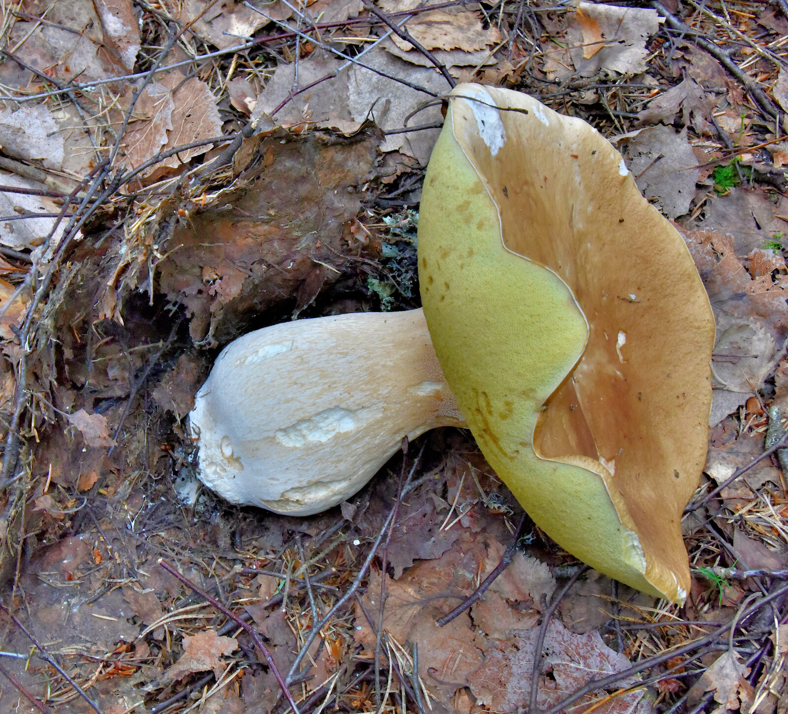 Valokuvaaja: Reijo Juurinen