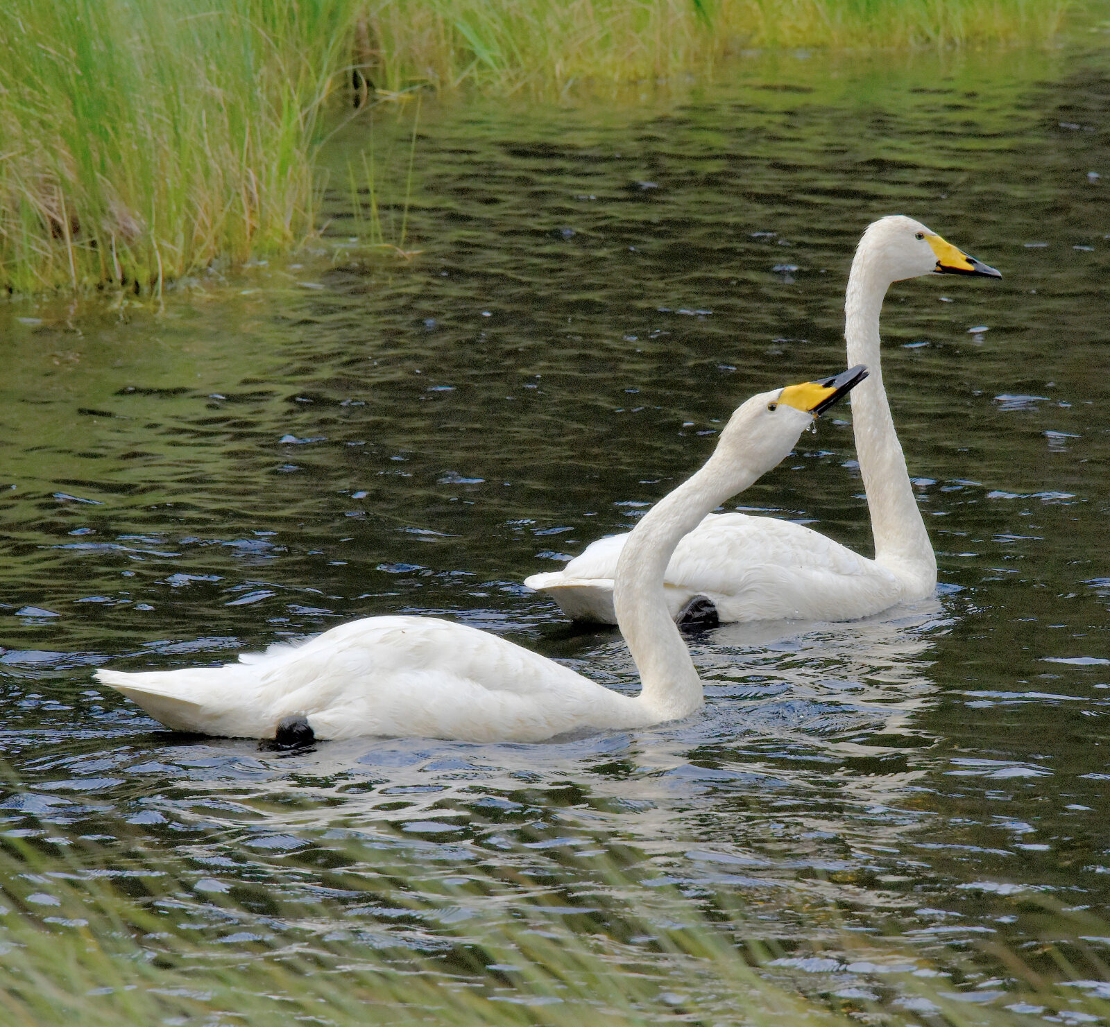 Valokuvaaja: Reijo Juurinen