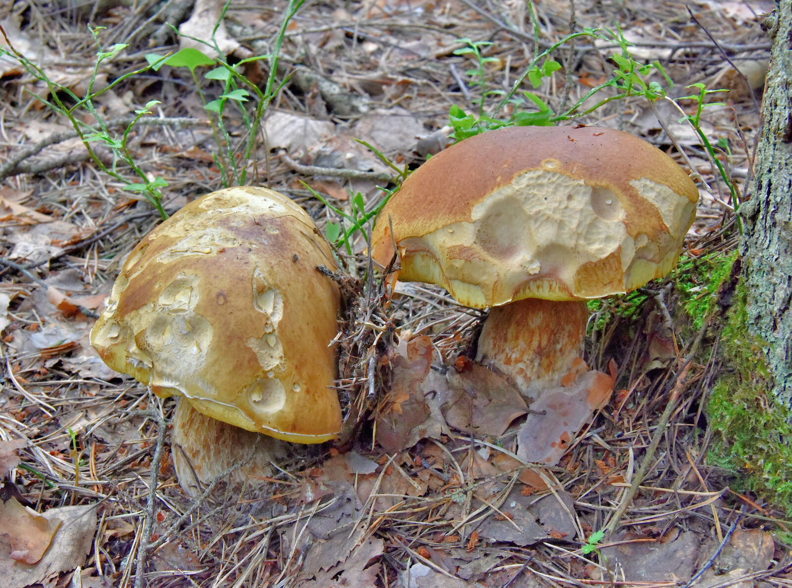 Valokuvaaja: Reijo Juurinen