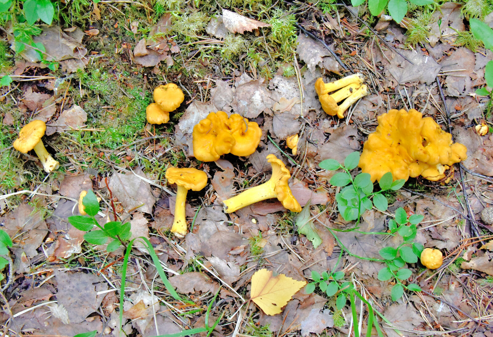 Valokuvaaja: Reijo Juurinen