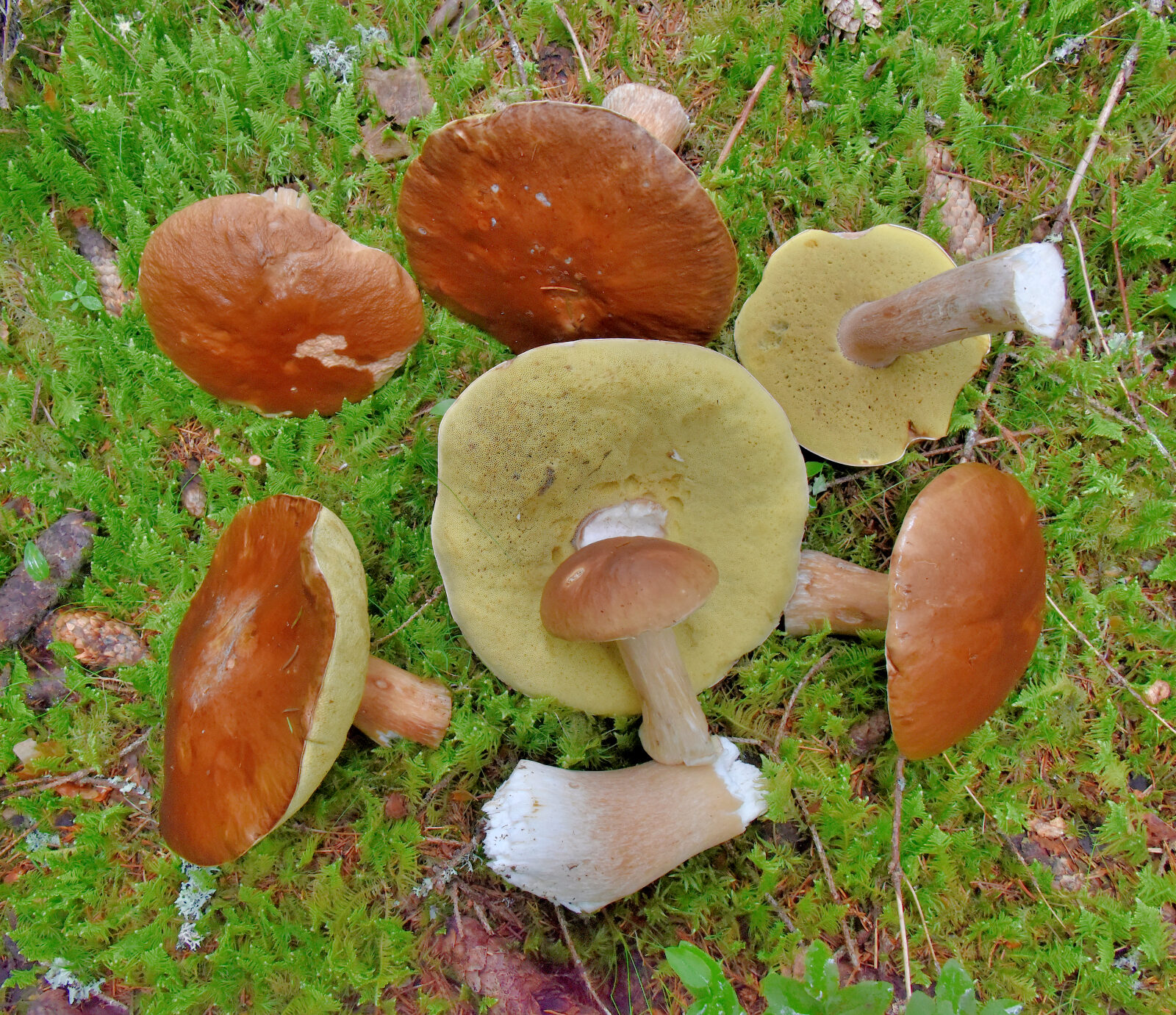 Valokuvaaja: Reijo Juurinen