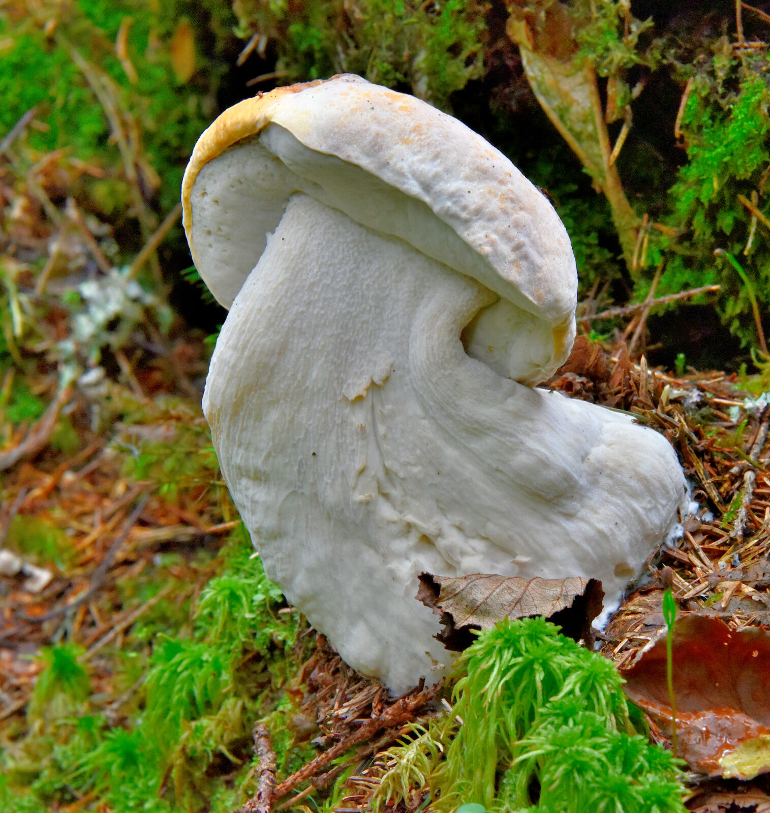 Valokuvaaja: Reijo Juurinen