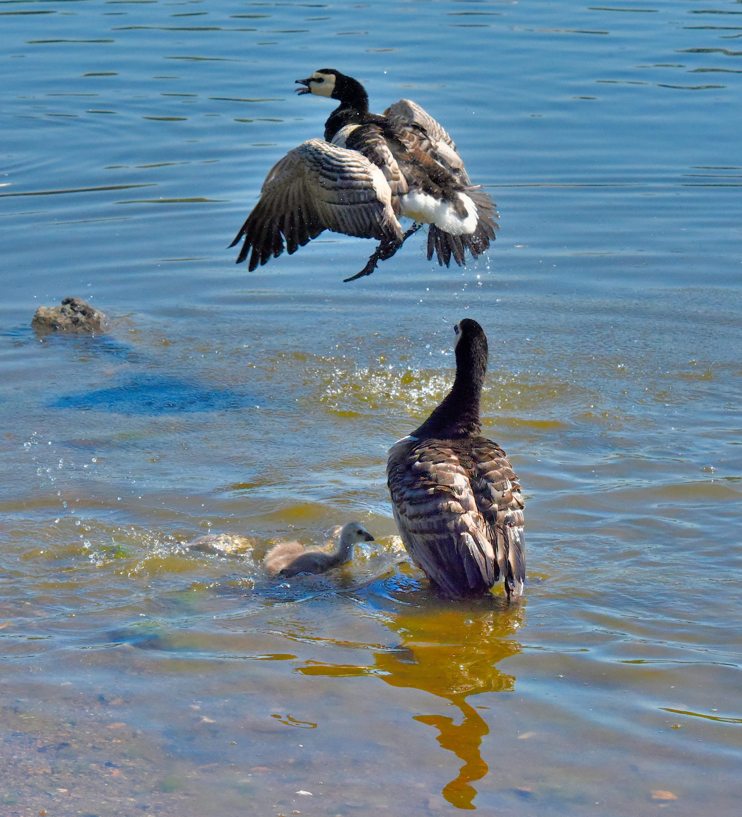 Valokuvaaja: Reijo Juurinen