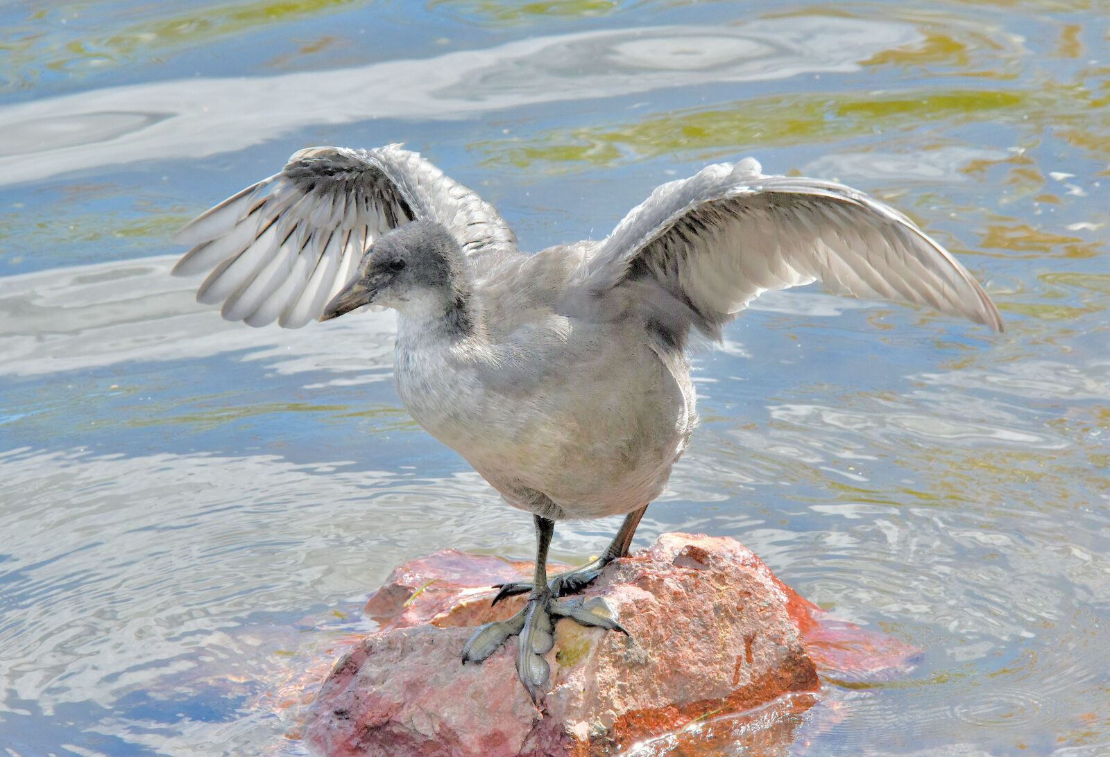 Valokuvaaja: Reijo Juurinen