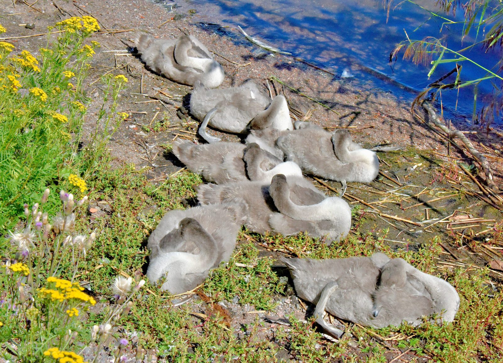 Valokuvaaja: Reijo Juurinen