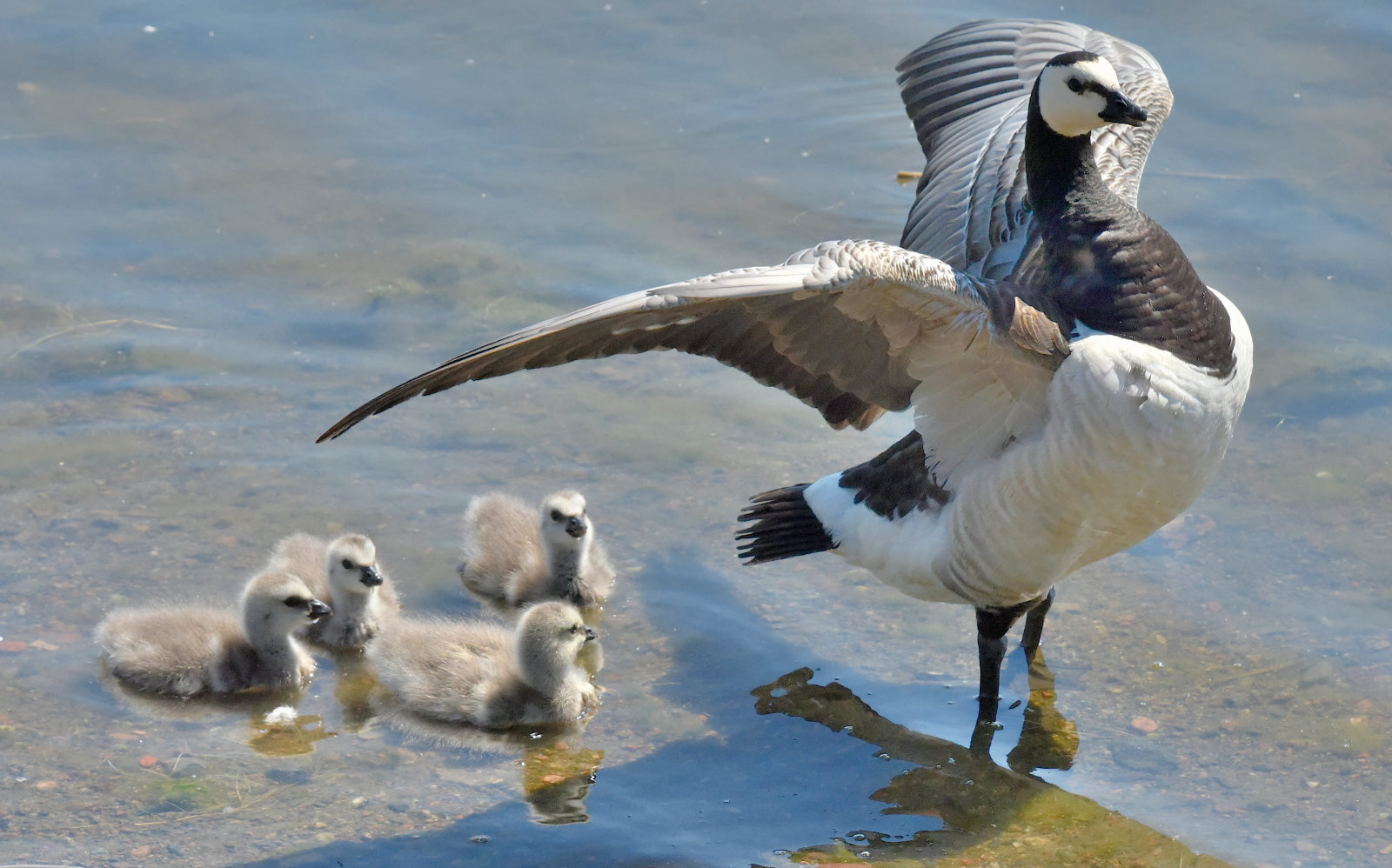 Valokuvaaja: Reijo Juurinen