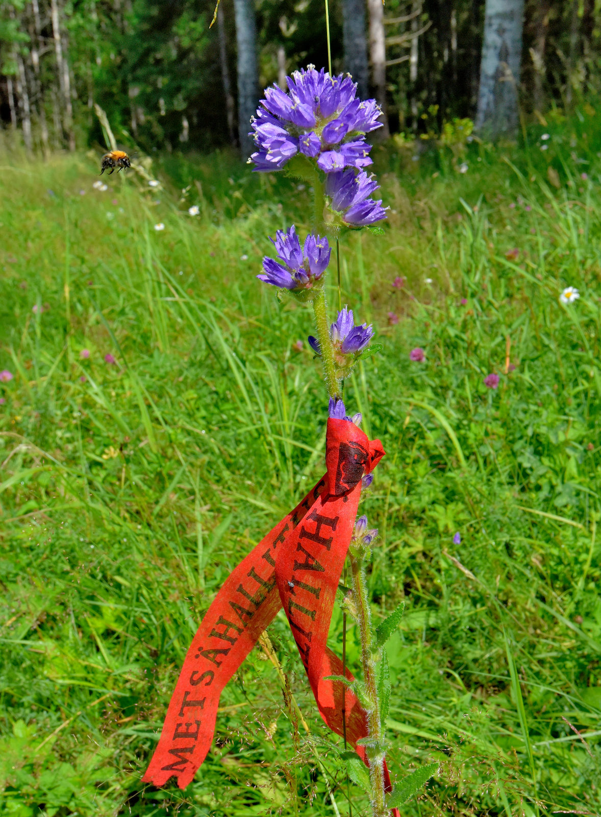 Valokuvaaja: Reijo Juurinen