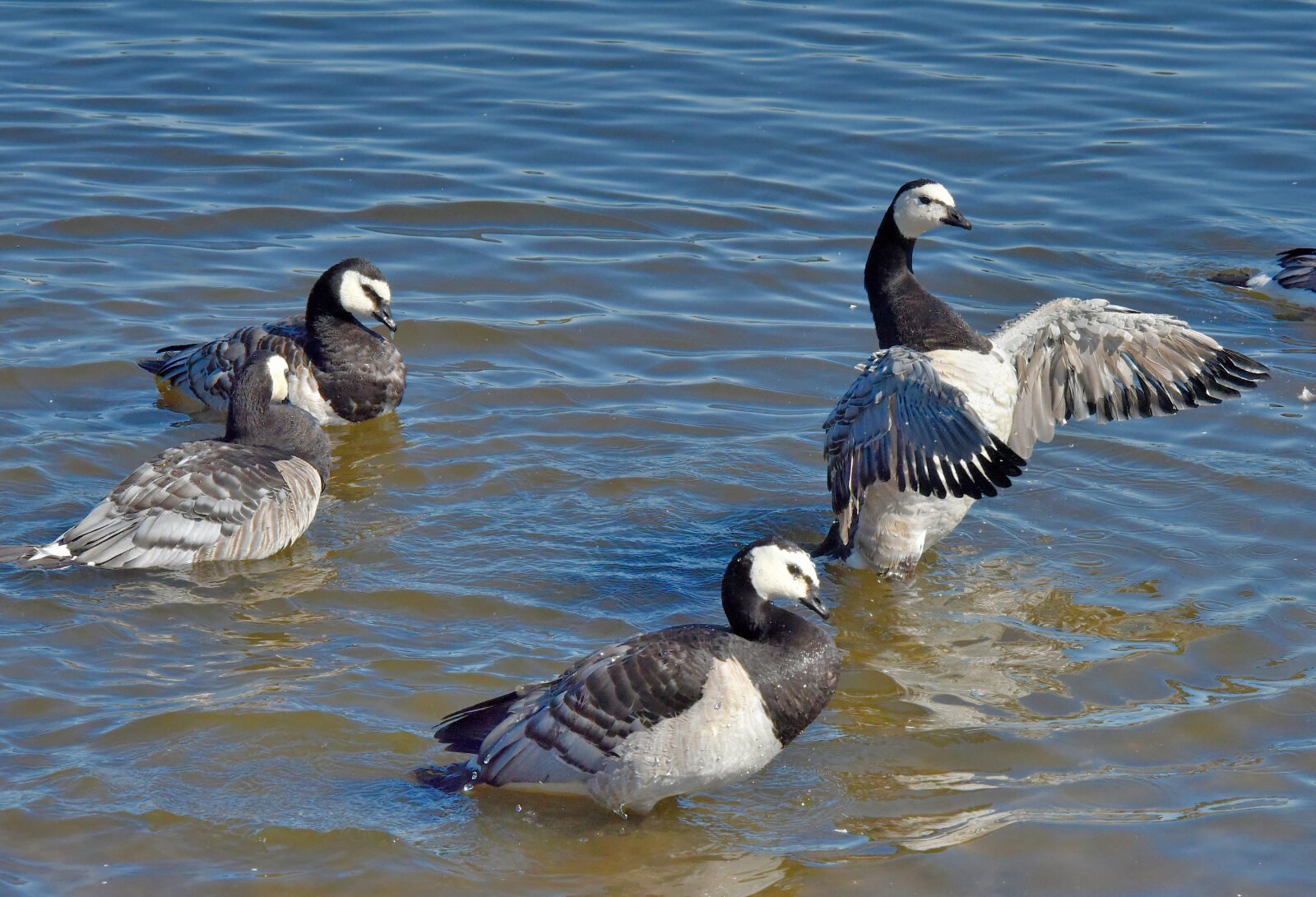 Valokuvaaja: Reijo Juurinen
