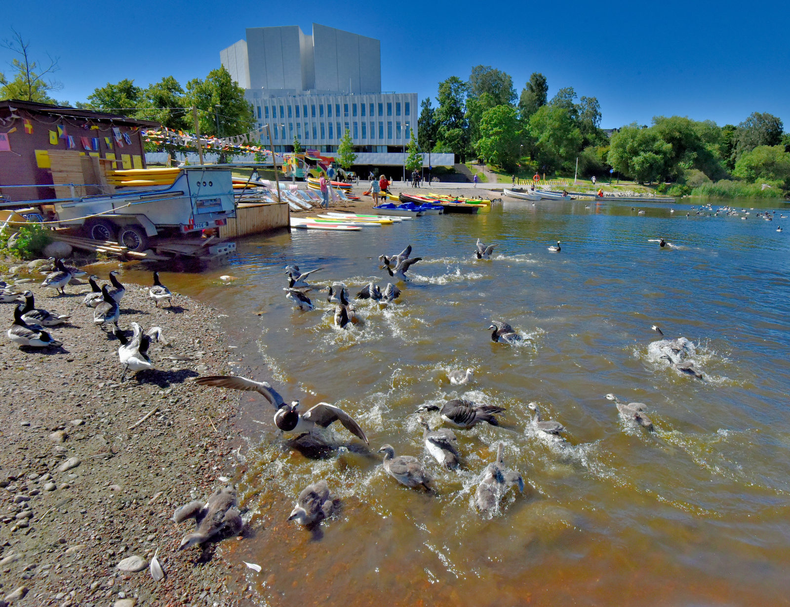 Valokuvaaja: Reijo Juurinen
