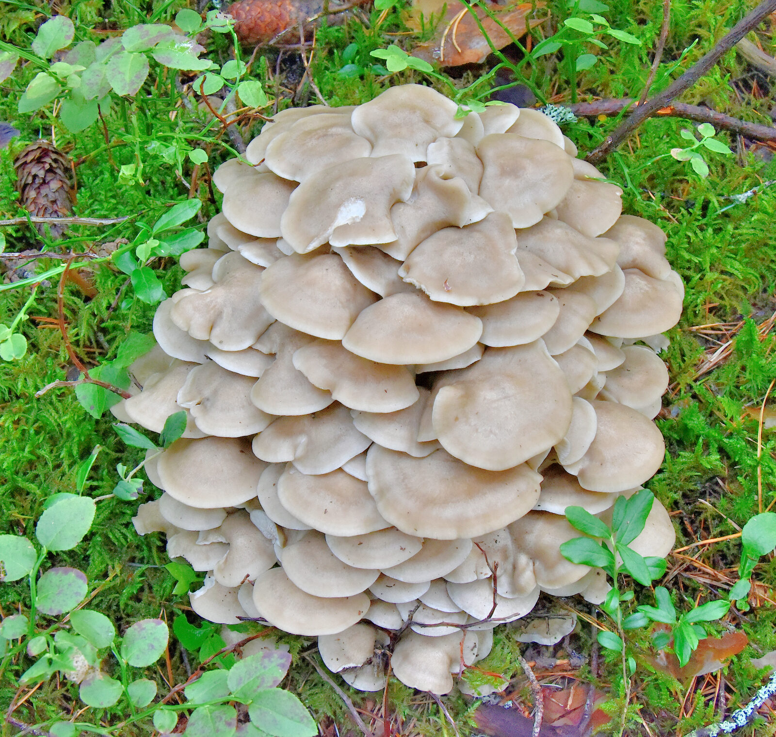 Valokuvaaja: Reijo Juurinen