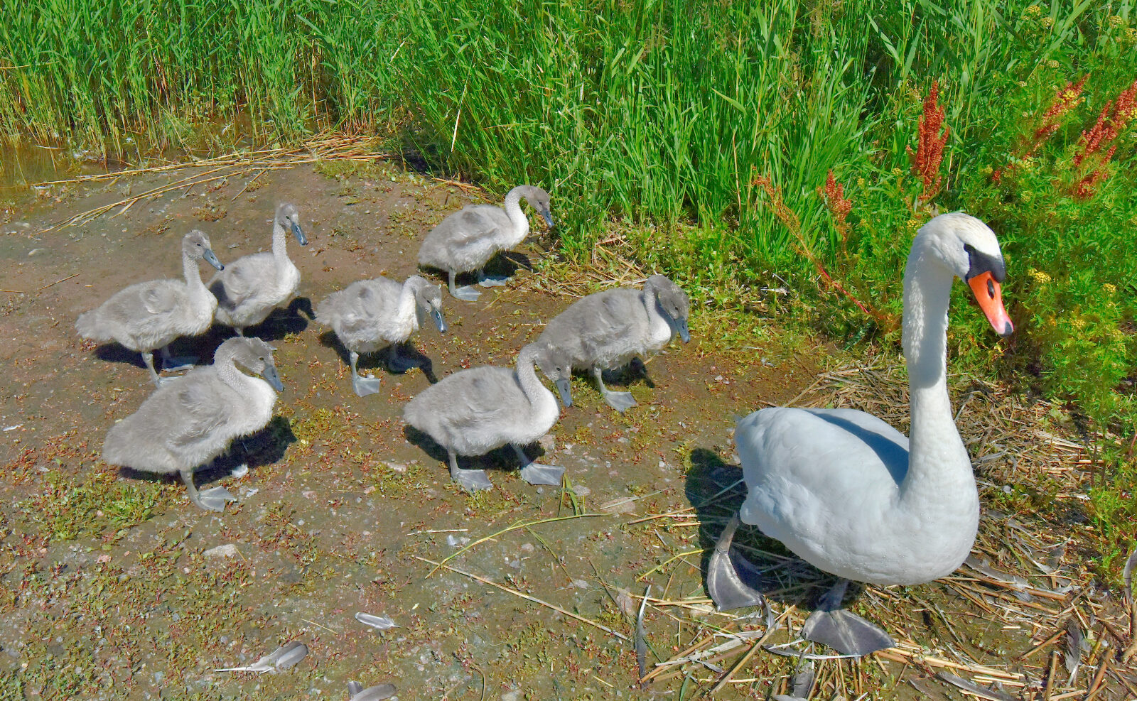 Valokuvaaja: Reijo Juurinen
