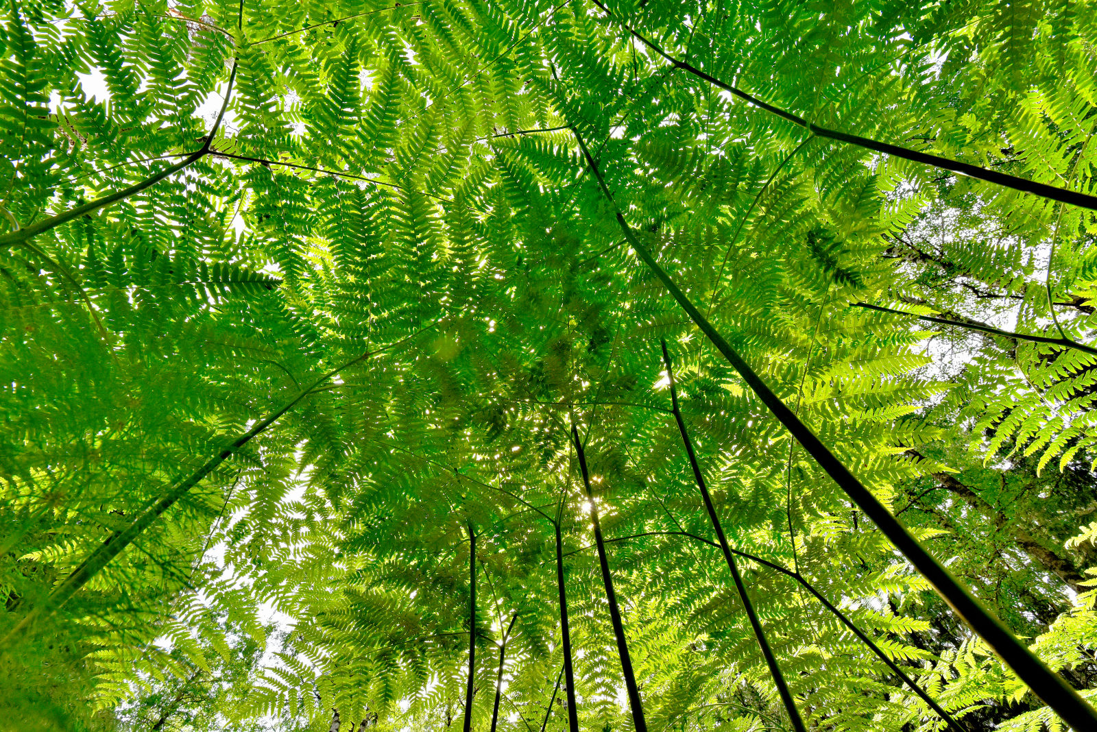 Valokuvaaja: Reijo Juurinen