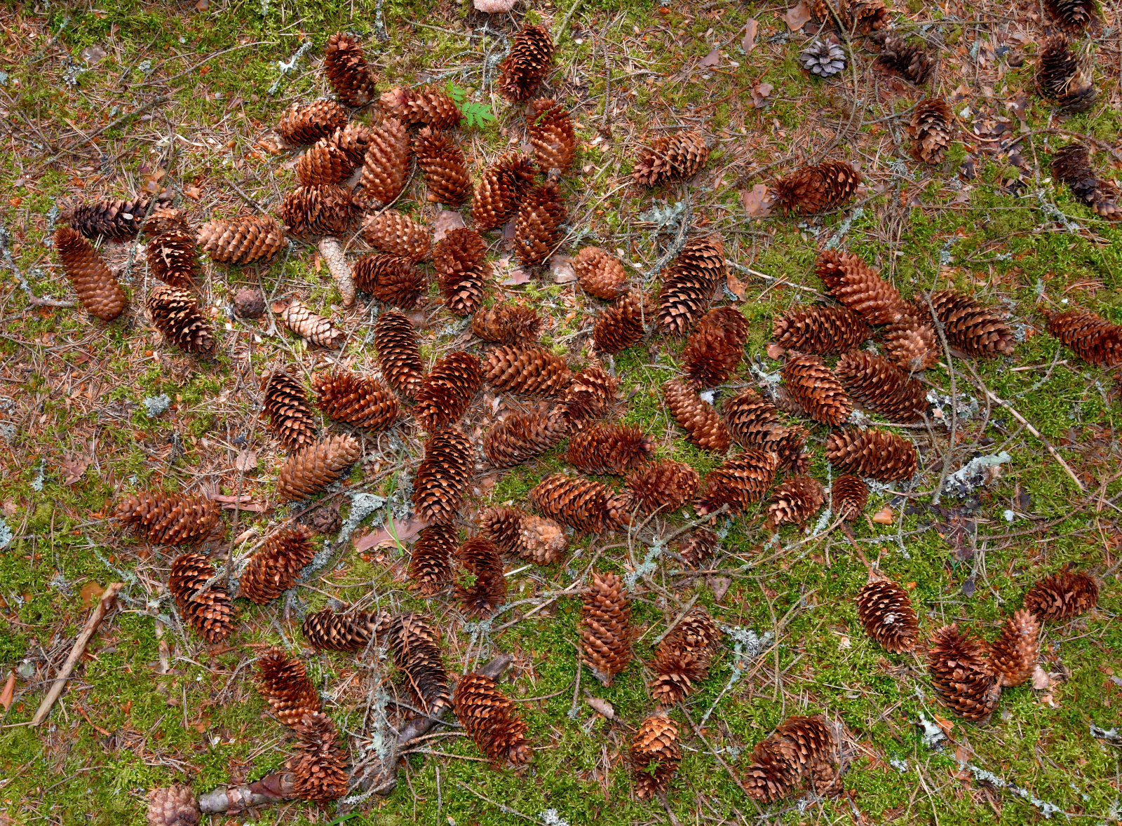 Valokuvaaja: Reijo Juurinen