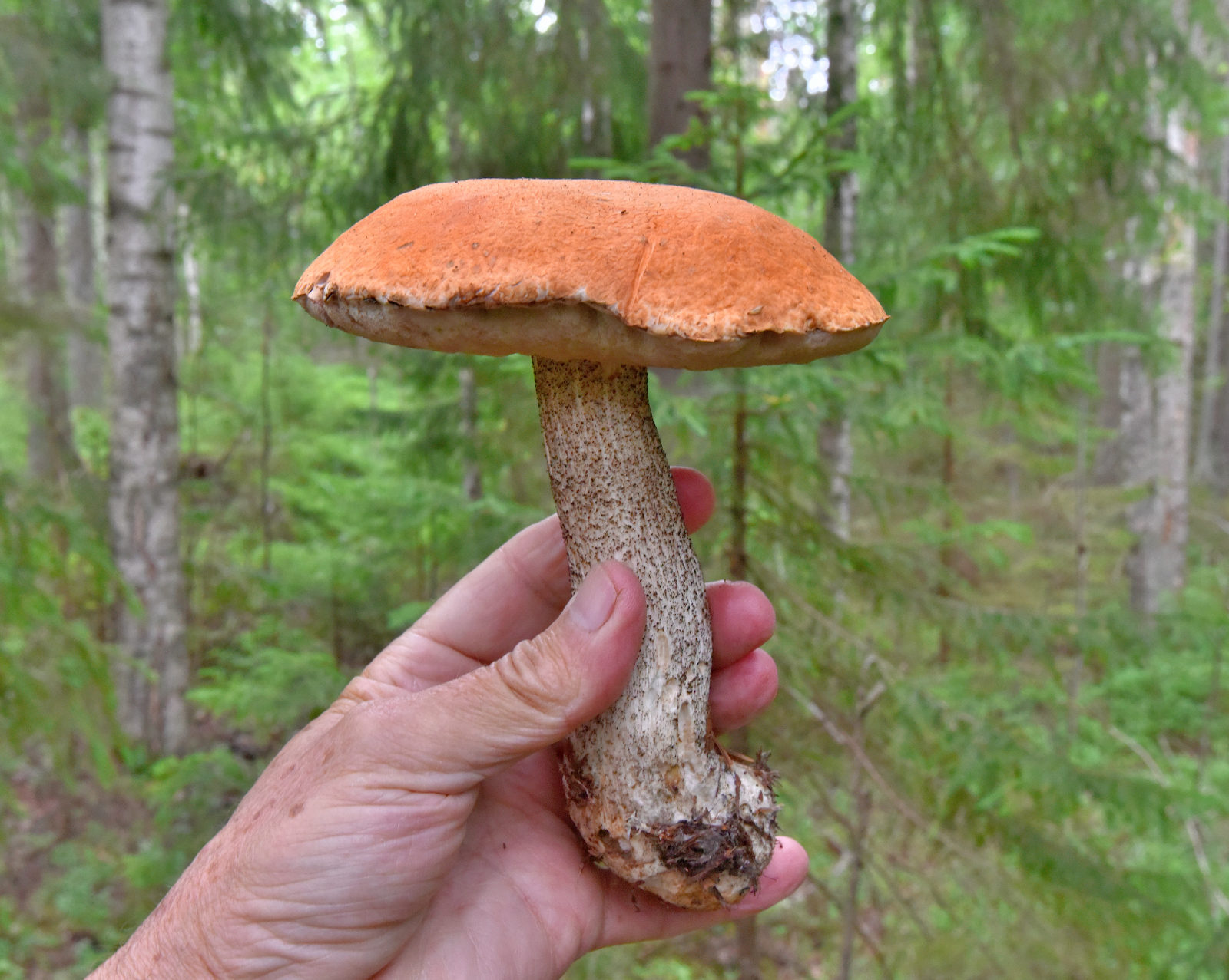 Valokuvaaja: Reijo Juurinen