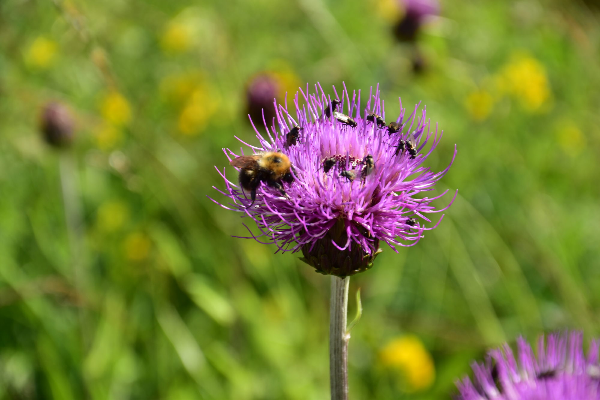 Valokuvaaja: Lahja Toivanen Valokuvaaja: Lahja Toivanen