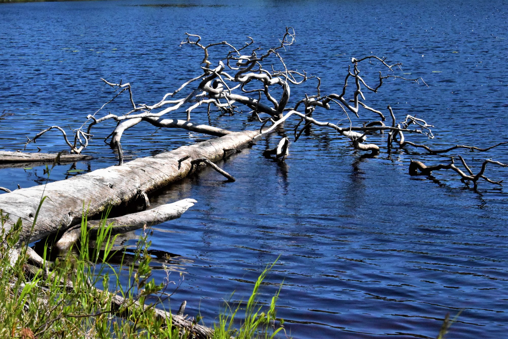 Valokuvaaja: Lahja Toivanen Valokuvaaja: Lahja Toivanen