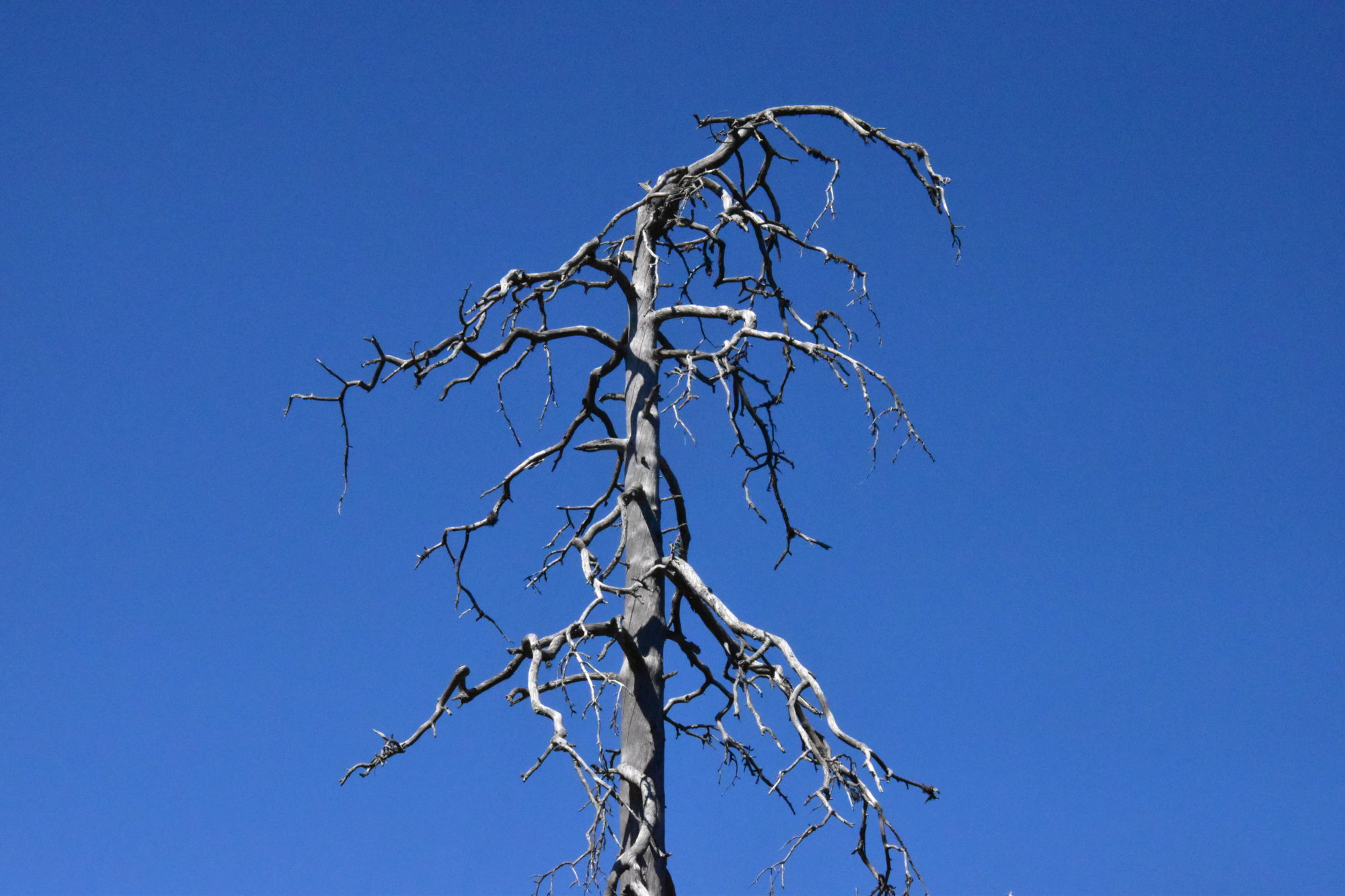 Valokuvaaja: Lahja Toivanen