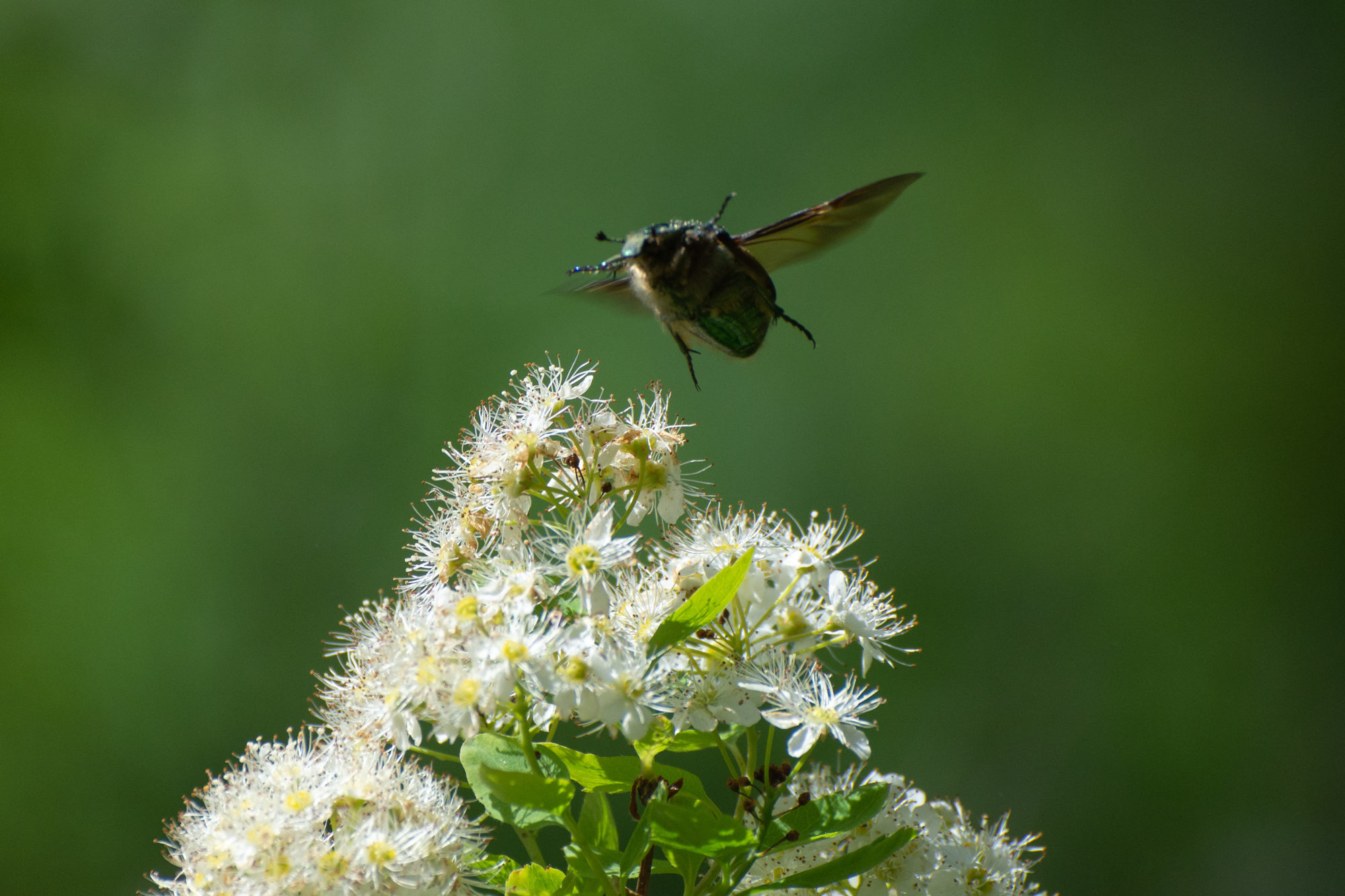 Valokuvaaja: Paavo Siukonen