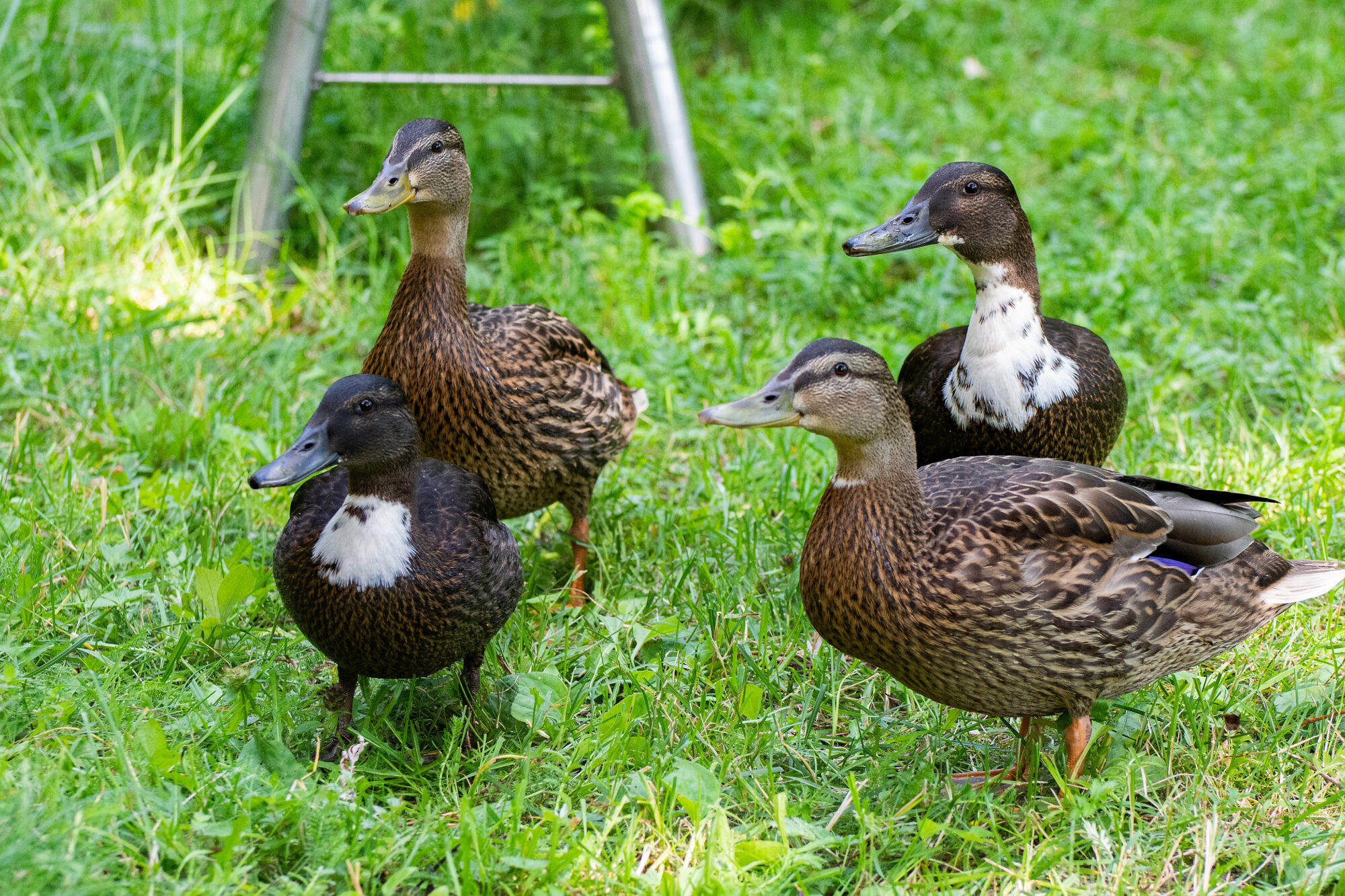Valokuvaaja: Paavo Siukonen Valokuvaaja: Paavo Siukonen